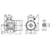 Silnik elektryczny trójfazowy 2,2 kW 2840 obr / min MS 90L1-2 B3